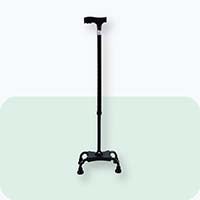 Walking Stick & Cane