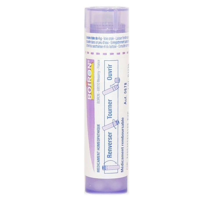 Online pharmacy Home