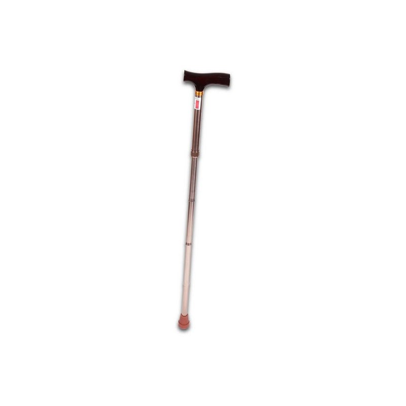 Media6 Foldable Walking Stick