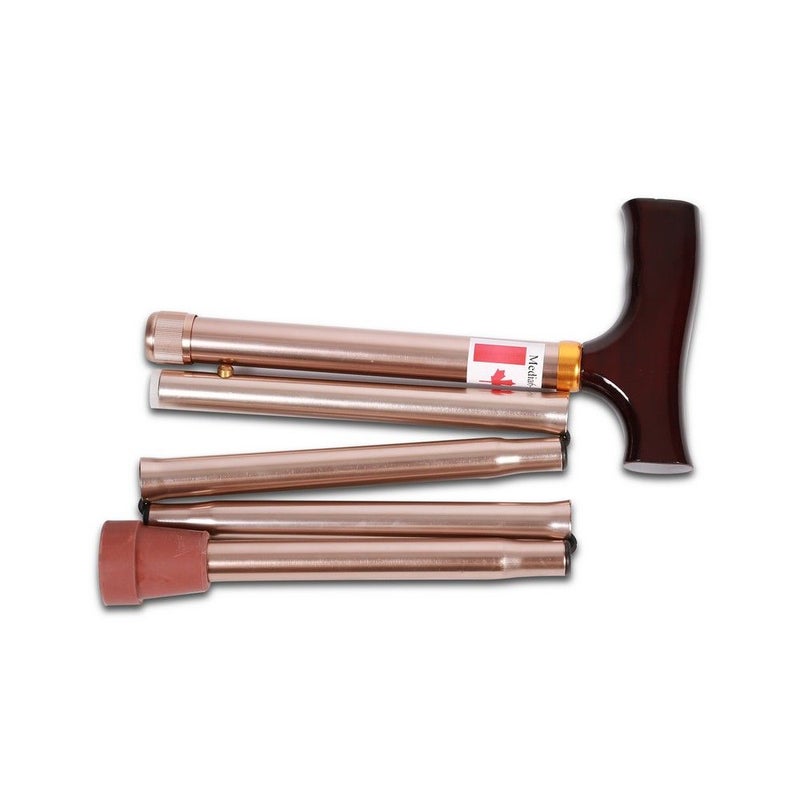Media6 Foldable Walking Stick