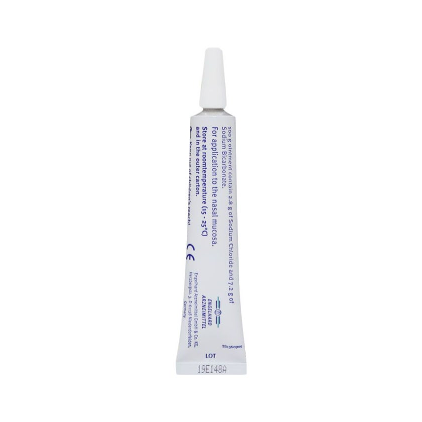 Nisita Nasal Ointment 20g