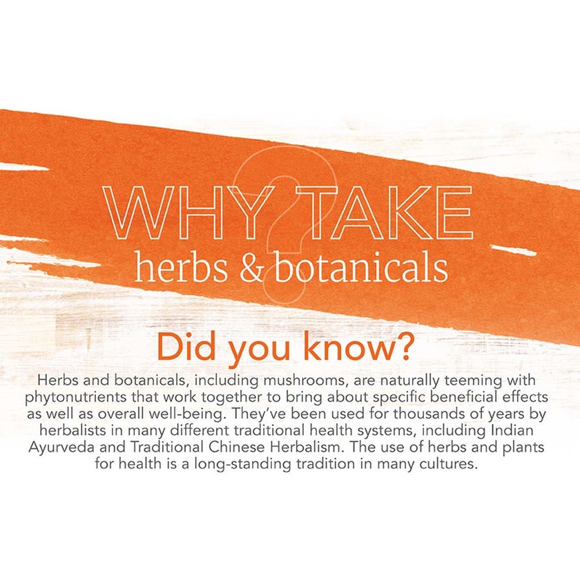 Now Fenugreek 500mg Herbal Supplement Capsules, Pack of 100's