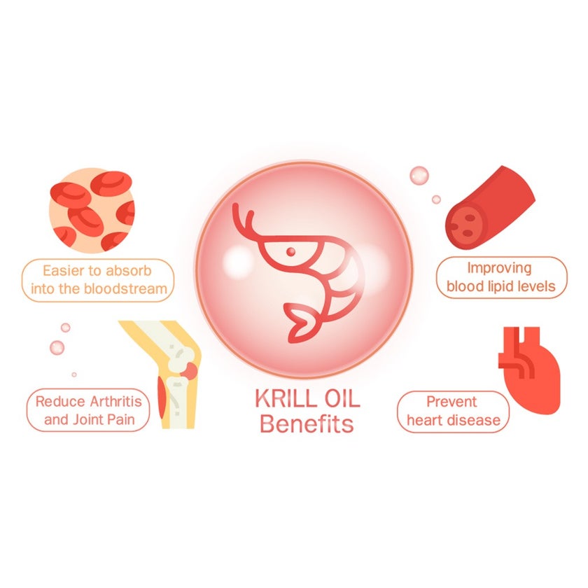 Now Neptune Krill Oil 500mg Softgels For Cardiovascular Support, Pack of 60's