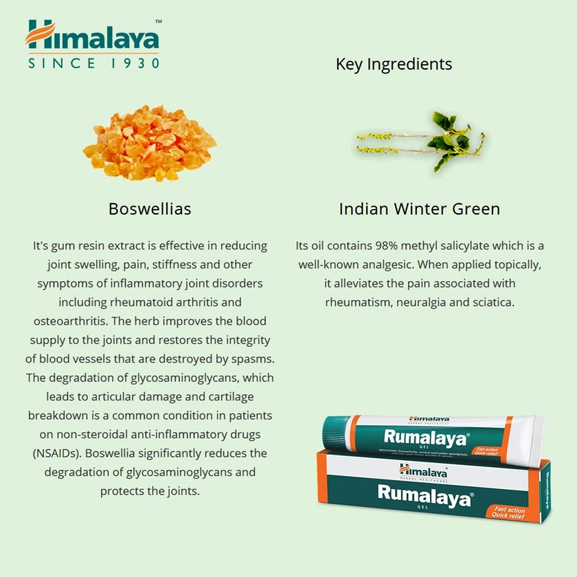 Himalaya Rumalaya Gel 30g