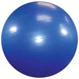 Sissel Exercise Ball Blue 55 cm