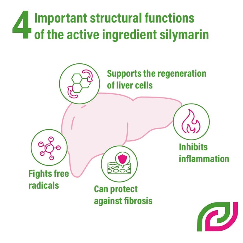 Legalon Forte 140mg Capsules, Pack of 100's