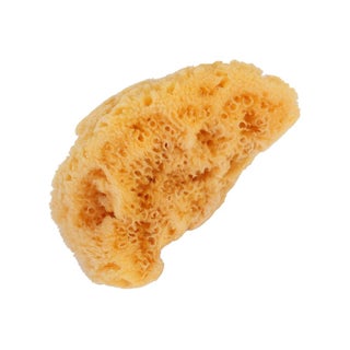 Bass Shower Sea Sponge L 1139