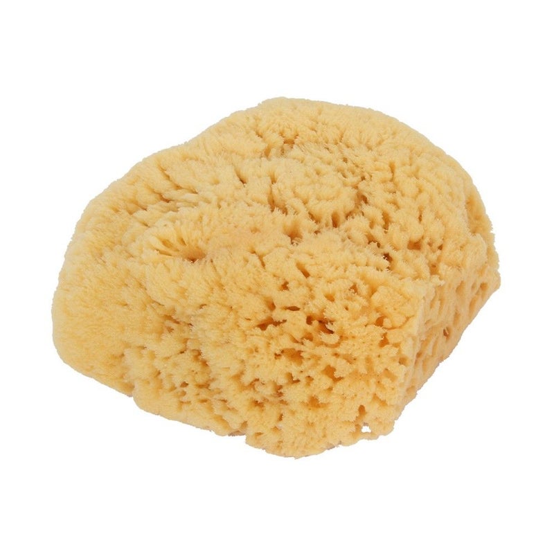 Bass Shower Sea Sponge L 1139