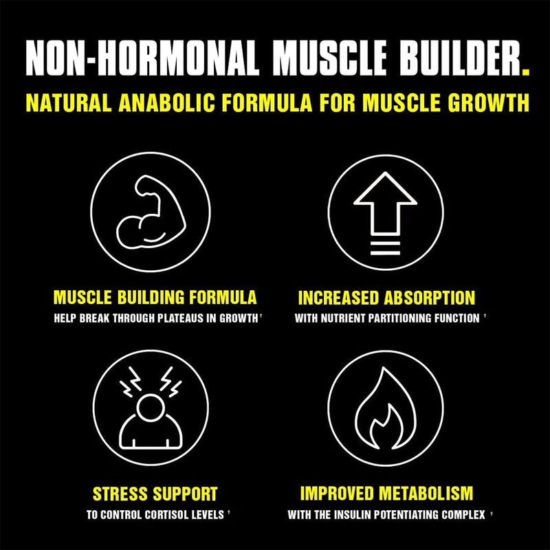 Universal Nutrition Animal M-Stak Comprehensive Non-Hormonal Supplement, Pack of 21's