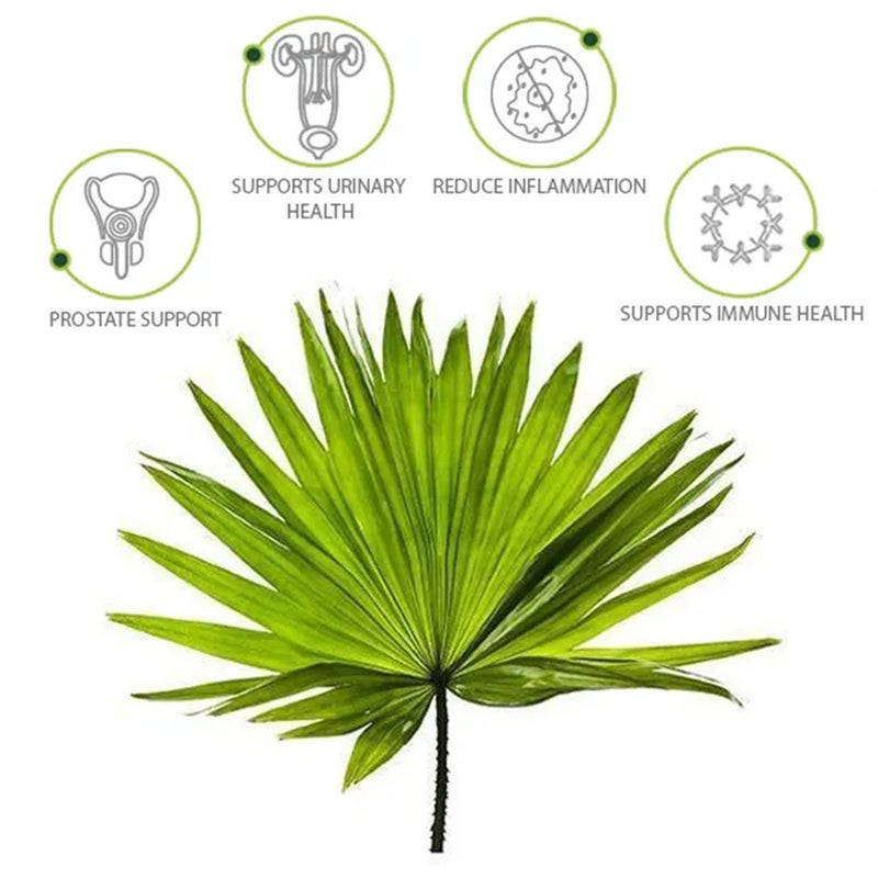 Nature's Answer Saw Palmetto 690mg Vegan Capsules For Prostate Health, Pack of 120's