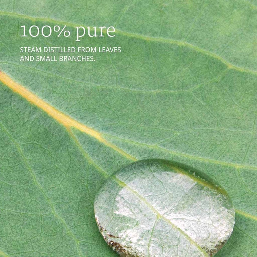 Now Essential Oils Eucalyptus Oil For Aromatherapy 30ml