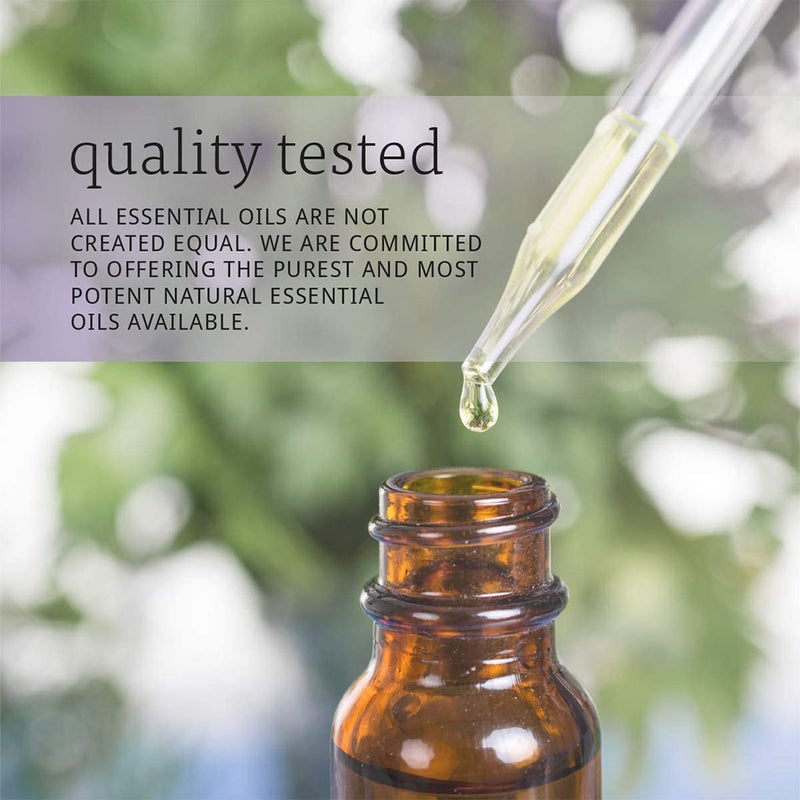 Now Solutions Rose Hip Seed Oil For Skin & Scalp 30ml