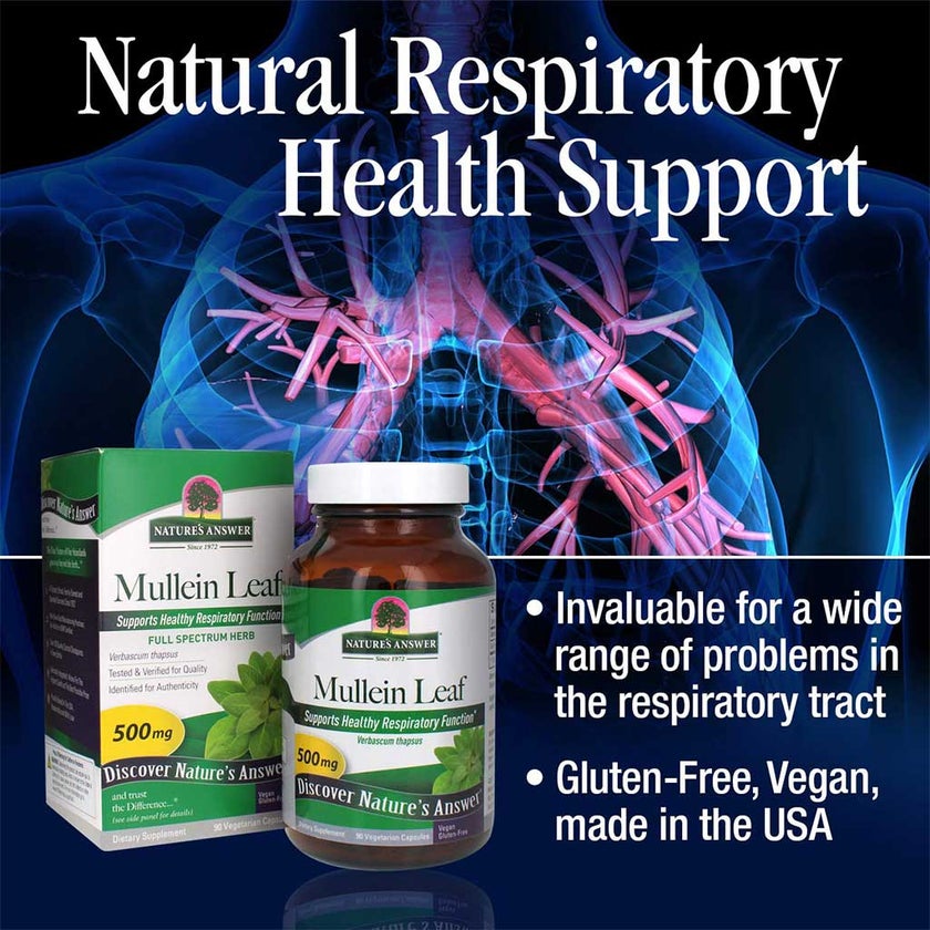 Nature's Answer Mullein Leaf 500mg Vegan Capsules For Respiratory Health, Pack of 90's