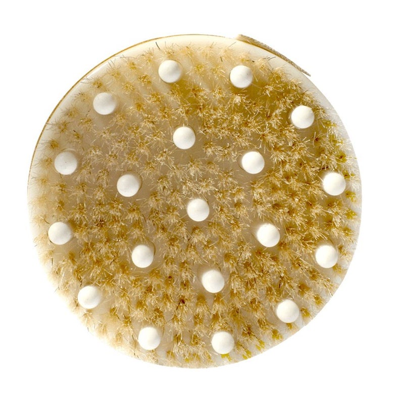 Daily Concepts Your Detox Massage Brush DC31