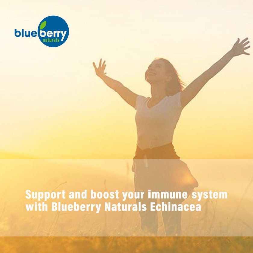 Blueberry Naturals Echinacea 400mg Capsules For Immune Support, Pack of 100’s