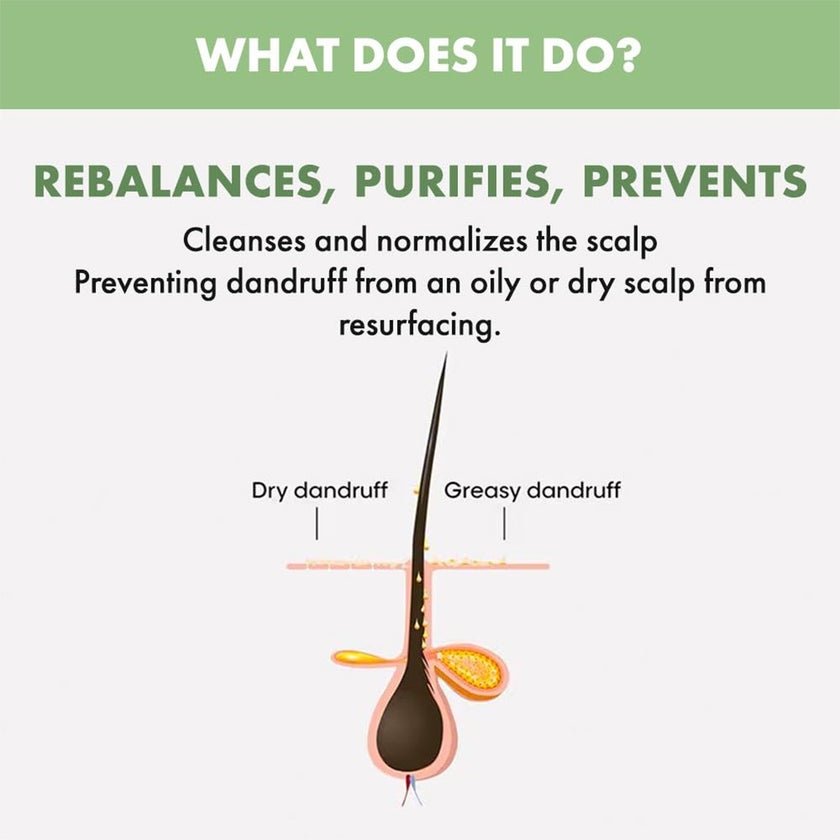 Alfaparf Milano Semi Di Lino Scalp Rebalance Gentle Exfoliating Scrub For Scalps Suffering From Dandruff & Flakes 150ml