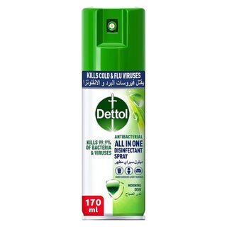 Dettol All-In-1 Antibacterial Disinfectant Spray Morning Dew 170 mL