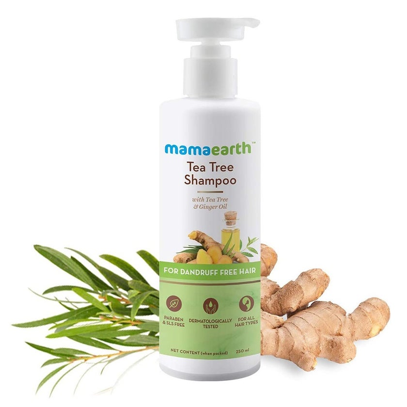 Mamaearth Tea Tree Shampoo For Dandruff Free Hair 250ml