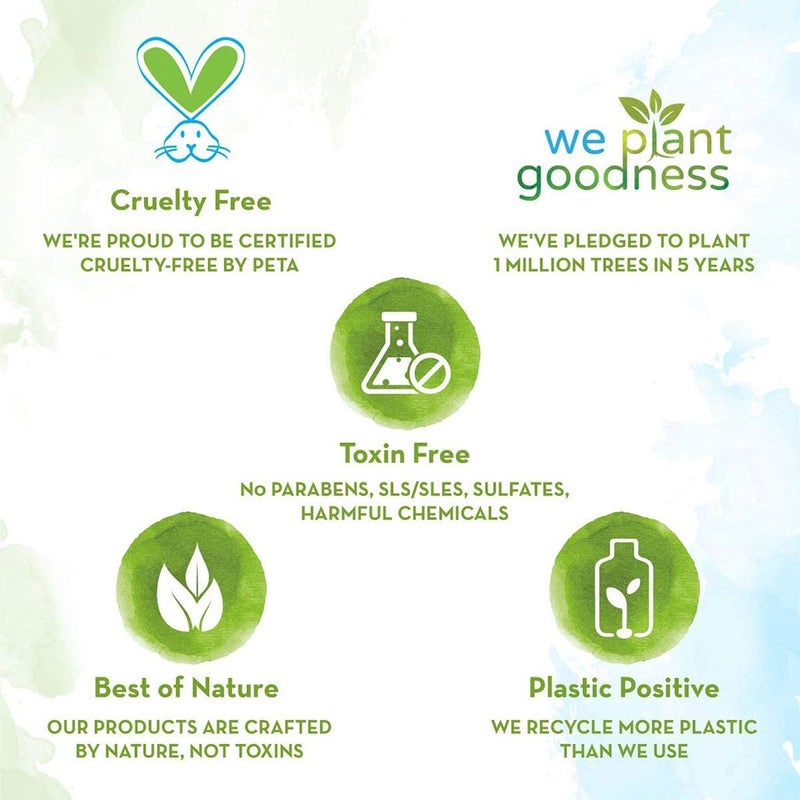 Mamaearth Tea Tree Conditioner For Dandruff Free Hair 250 mL