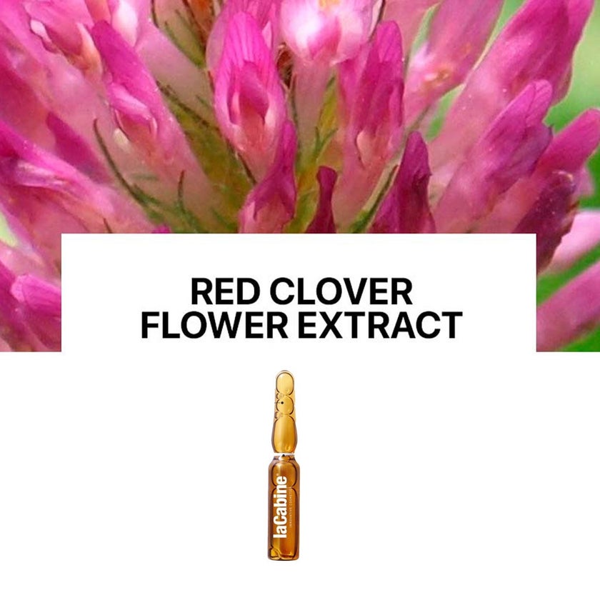 LaCabine 3D Eyelashes And Eyebrows Ampoules 2ml, Pack of 10's