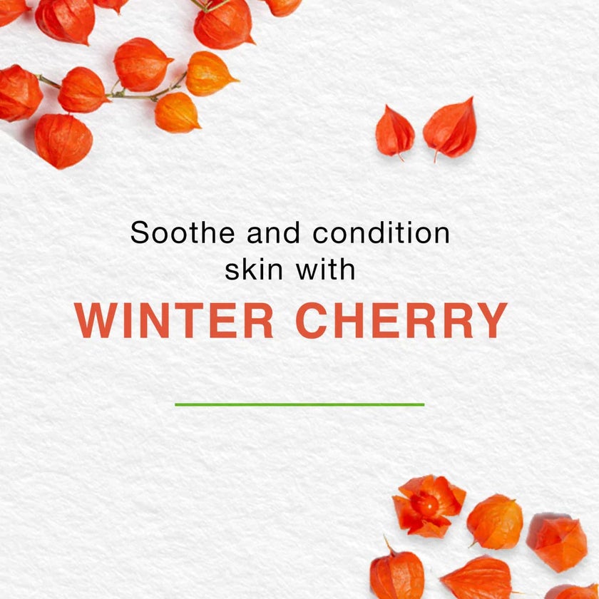 Himalaya Nourishing Baby Oil With Olive Oil and Winter Cherry 300ml