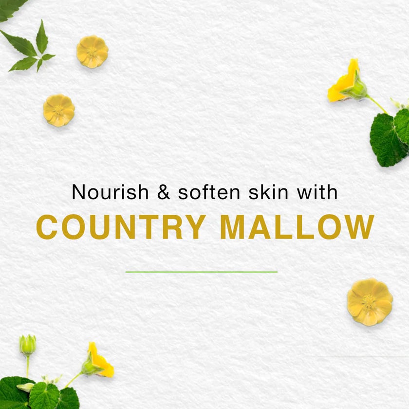 Himalaya Baby Cream With Olive Oil & Country Mallow 100ml