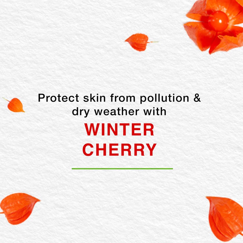 Himalaya Nourishing Skin Cream With Aloe Vera And Winter Cherry 250ml