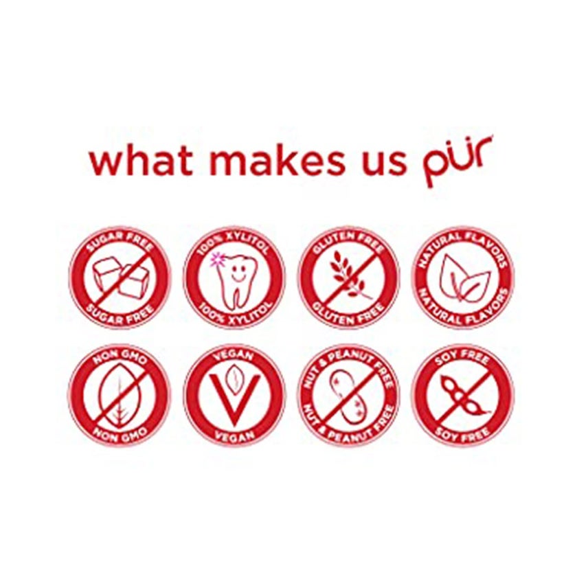 Pur Aspartame & Sugar Free Cinnamon Chewing Gum With Xylitol 9 Pieces