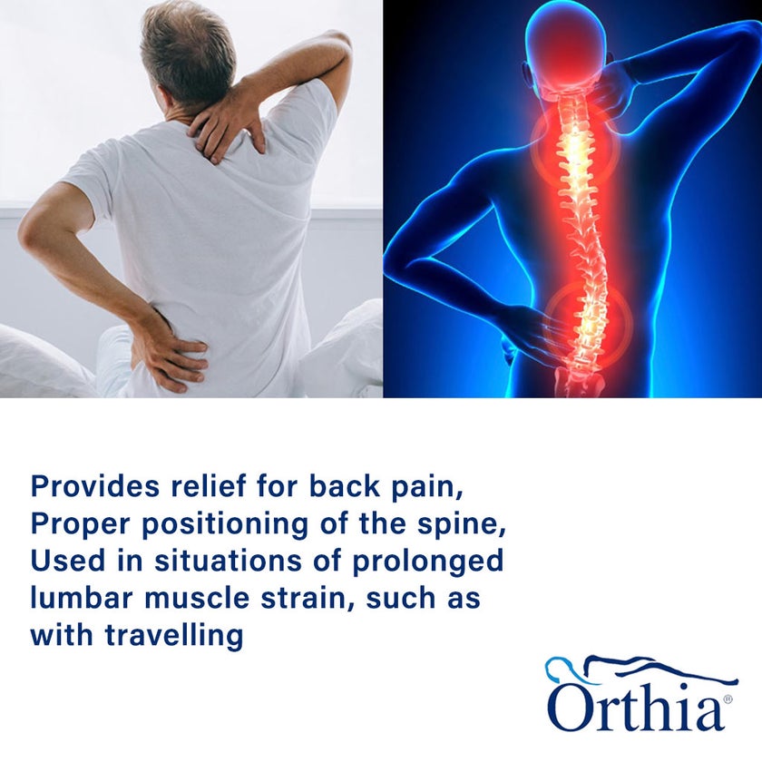 Orthia Lumbar Support Cushion 2401112