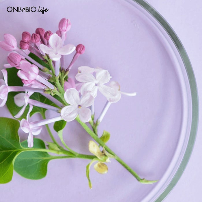 Online pharmacy Home