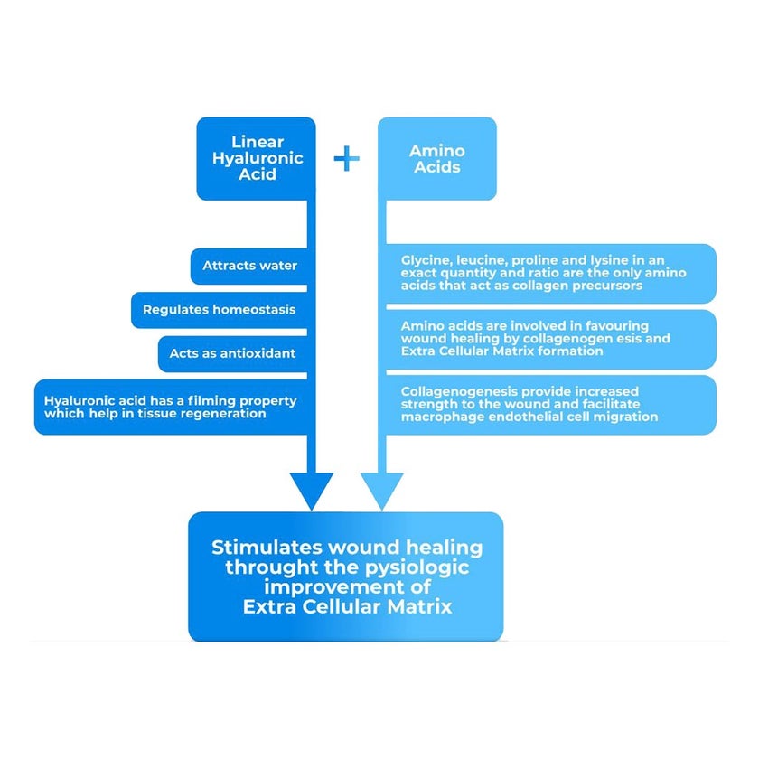 Vulnamin Wound Healing Gel 50g