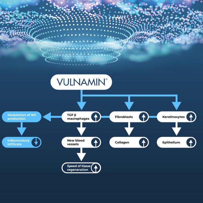 Vulnamin Wound Healing Gel 50g
