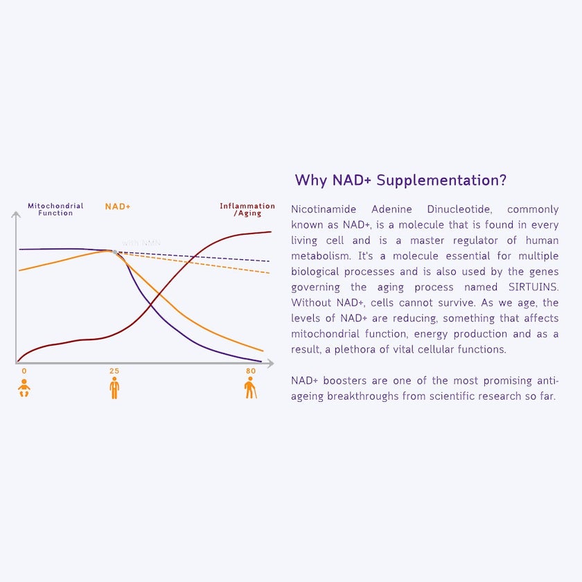 NMN Bio Beta 500mg Anti-Aging Capsules, Pack of 30's