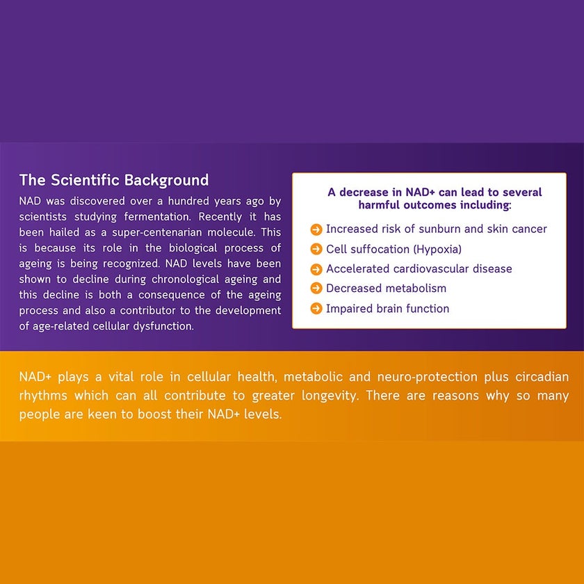 NMN Bio Beta 500mg Anti-Aging Capsules, Pack of 30's