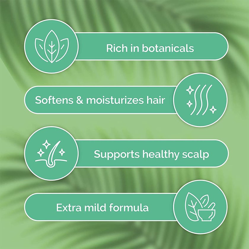 ShiKai Tea Tree Conditioner With Avocado, Amla & Jojoba Oil 355ml