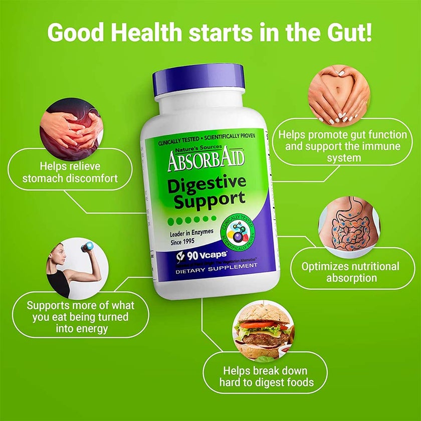 Nature's Sources AbsorbAid Digestive Enzyme Vegetarian Capsules For Digestive Support, Pack of 90's