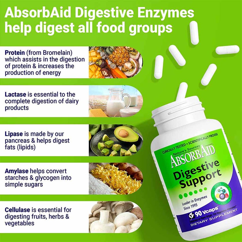 Nature's Sources AbsorbAid Digestive Enzyme Vegetarian Capsules For Digestive Support, Pack of 90's