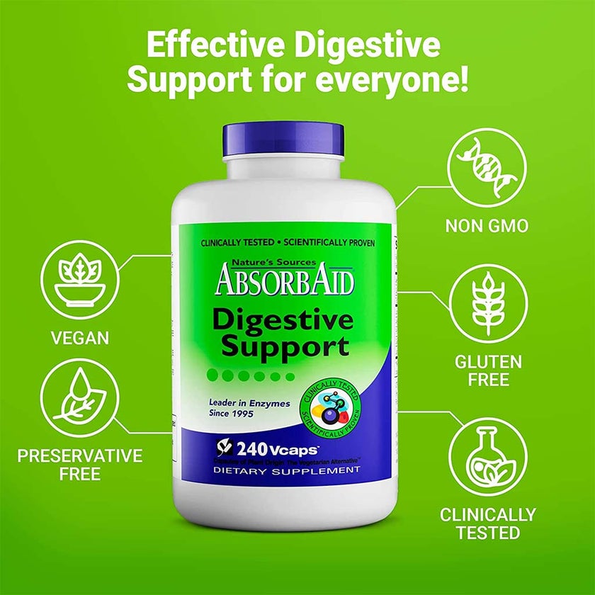 Nature's Sources AbsorbAid Digestive Enzyme Vegetarian Capsules For Digestive Support, Pack of 240's
