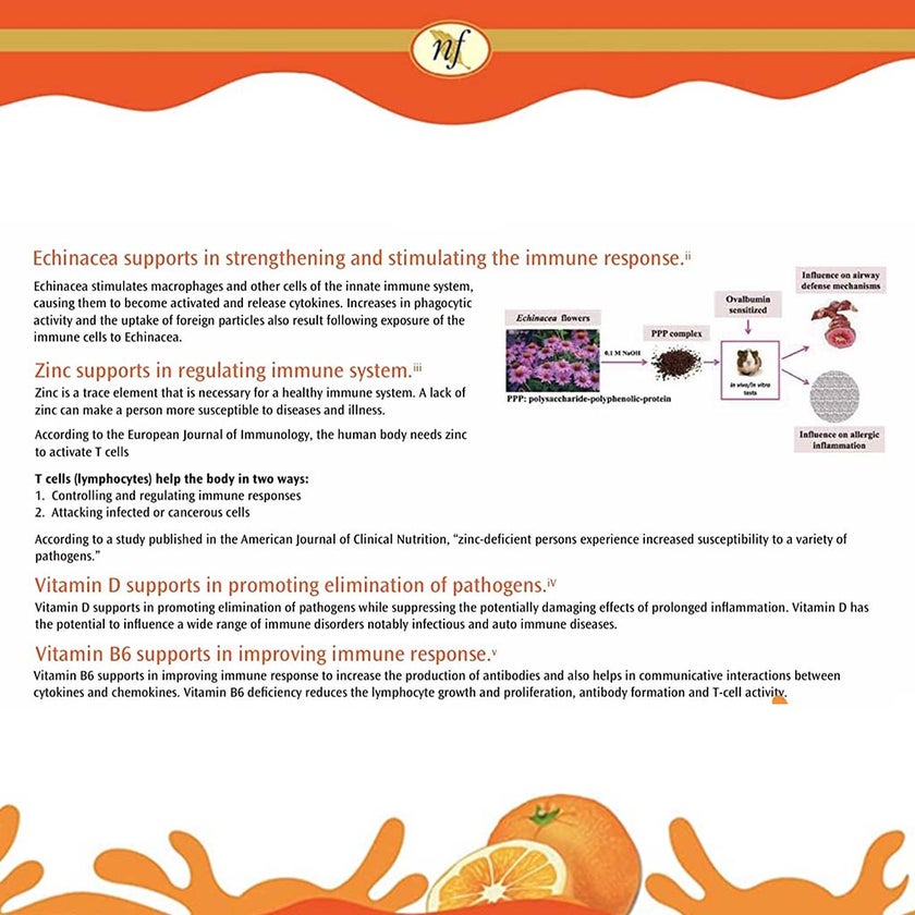 Natural Fervor Vitalshield Immune Support Effervescent Tablets, Pack of 20's