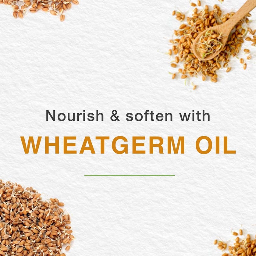 Himalaya Nourishing Lip Balm For Dry Chapped Lips 4.5g