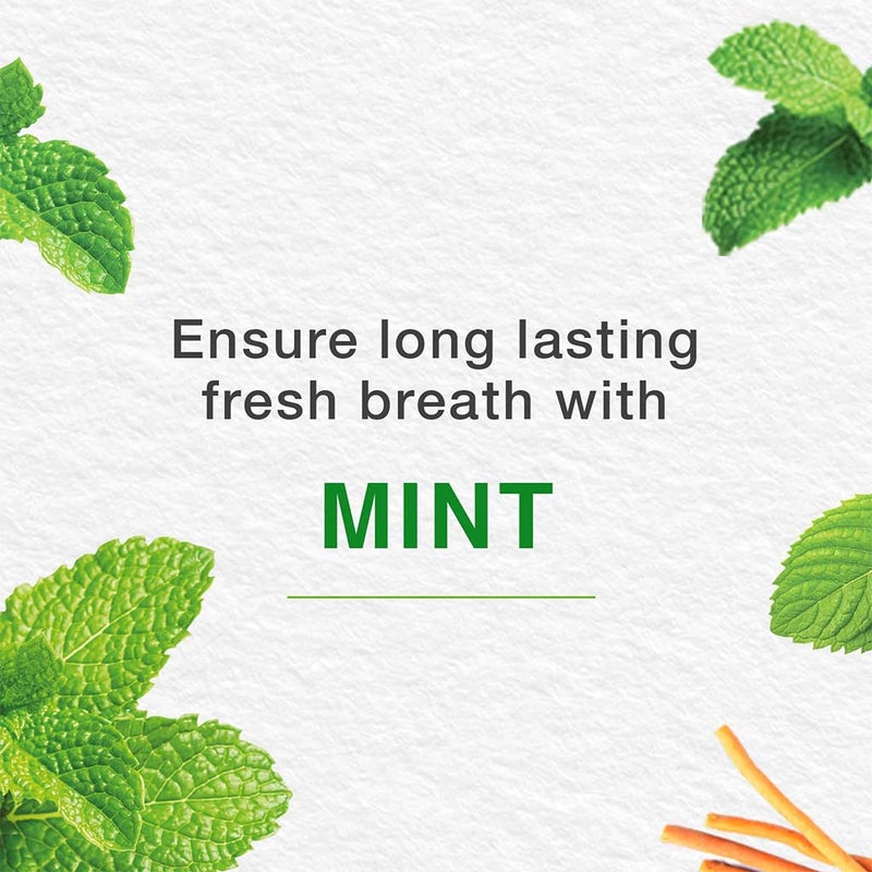 Himalaya Gum Expert Mint Fresh Paraben-Free Herbal Toothpaste Gel 100ml, Pack of 2's