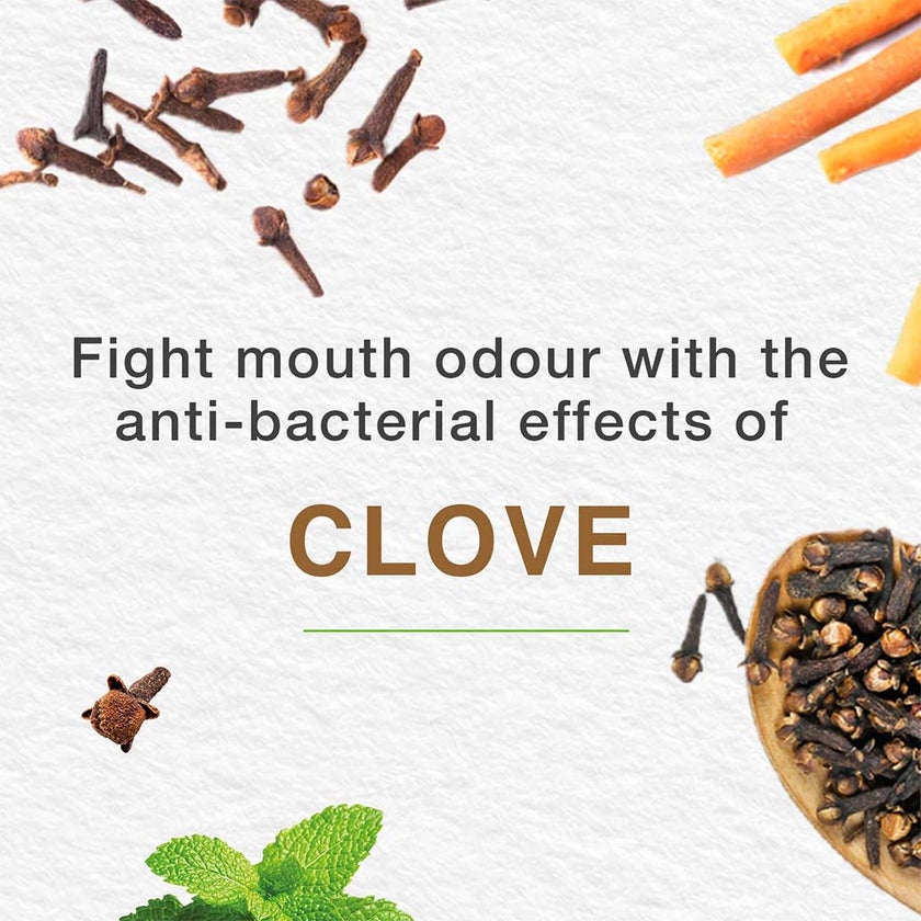 Himalaya Gum Expert Mint Fresh Paraben-Free Herbal Toothpaste Gel 100ml, Pack of 2's