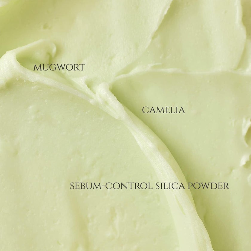 Beauty of Joseon Matte Sun Stick Sunscreen With Mugwort + Camelia SPF 50+ & PA++++ 18g