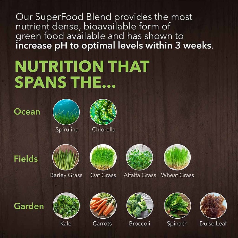 PlantFusion Organic Alkalizing Greens Fermented Superfood Powder Blend 240g