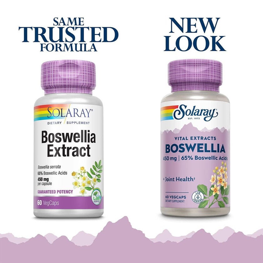 Solaray Boswellia Resin Extract 450mg Vegetarian Capsules For Joint Health, Pack of 60's
