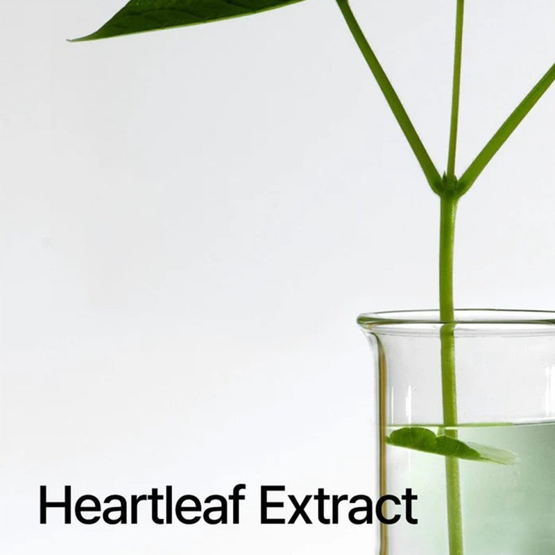 Anua Heartleaf 80 Moisture Soothing Facial Ampoule For Combination, Sensitive & Acne Prone Skin 30ml 