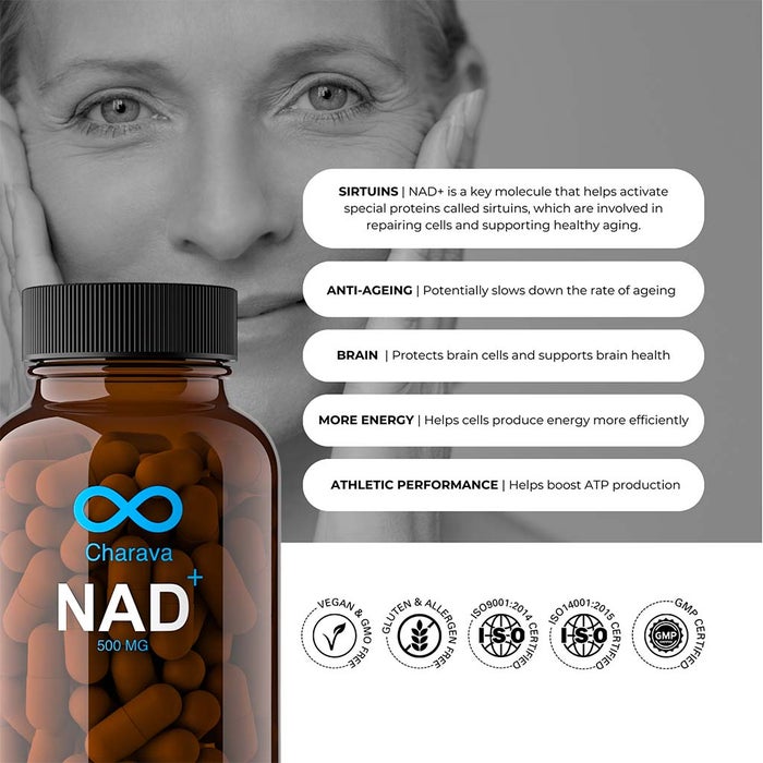 Online pharmacy Home