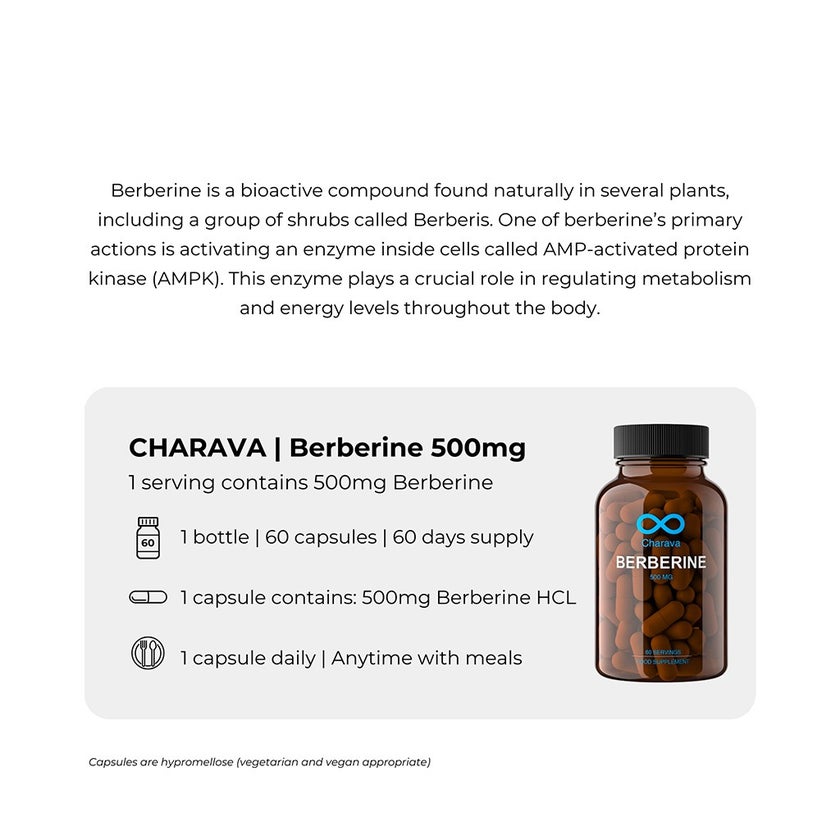 Charava Berberine 500mg Capsules For Diabetic Support & Heart Health, Pack of 60’s