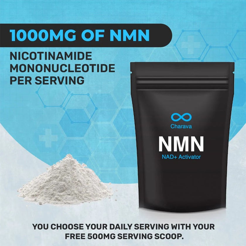 Charava NMN Antiaging Supplement NAD+ Activator Powder 15g - 30 Servings 