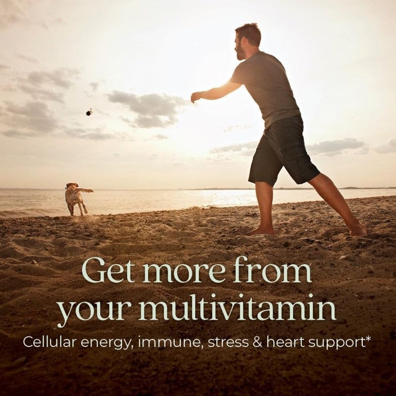 New Chapter Every Man's One Daily Multivitamin Tablets, Pack of 72's